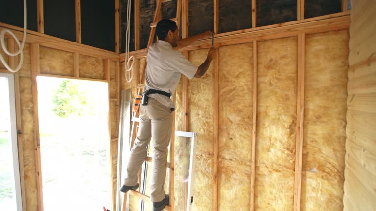 Best Insulation for New Construction  in Oberlin, OH