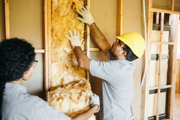 Types of Insulation We Offer in Oberlin, OH